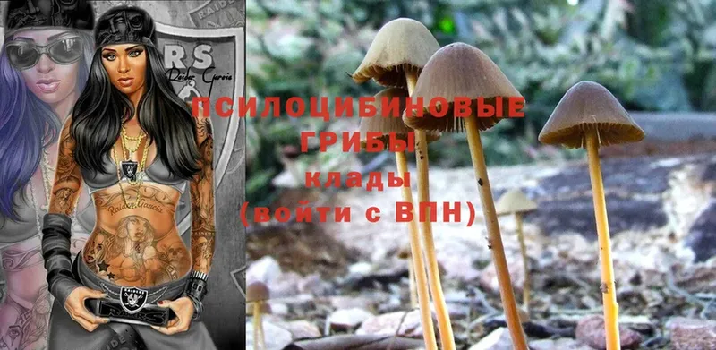 где купить наркотик  Лабинск  Галлюциногенные грибы Psilocybe 